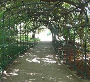 Staudengarten - Berggarten