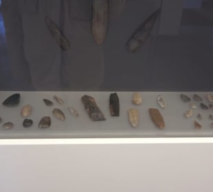 Museum für Vor- und Frühgeschichte