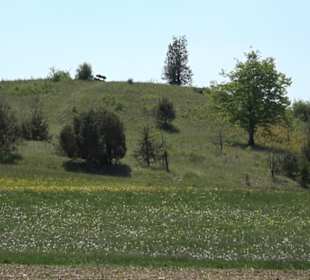 Premiumwanderweg Hochgehschätzt