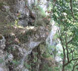 Locherstein Traifelberg