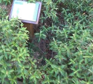 Museum de San Isidro