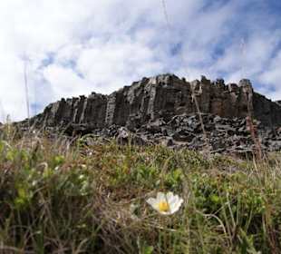 Borgarvirki - Umrundung der Vatnsnes Halbinsel
