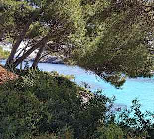 Strand Cala d'Or