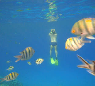 Snurkowanie przy hotelowej rafie