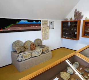 Blick in die Ausstellungsräume des Heimatmuseums