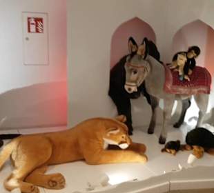Steiff Museum