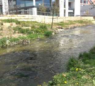 Bürgerpark Herrschaftsgärten