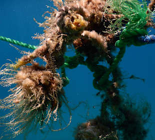 Hotel Swiss Inn Resort Dahab