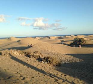 Dünen von Maspalomas 