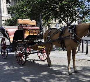 Stadtführung Havanna 