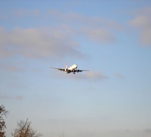 Airport
