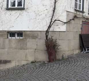 Weinstube zum Schlossberg