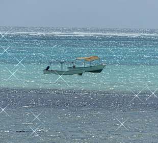 ....da möchte man doch einsteigen oder??