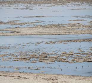 Salt Sea