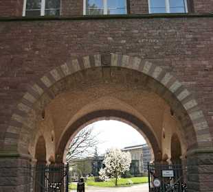 Spaziergang im Botanischen Garten von Karlsruhe