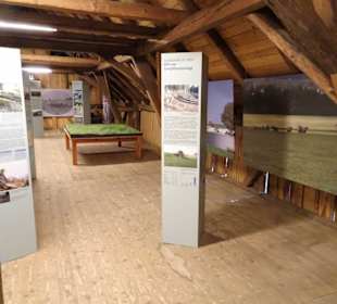 In der Ausstellung des Oberen Hofes