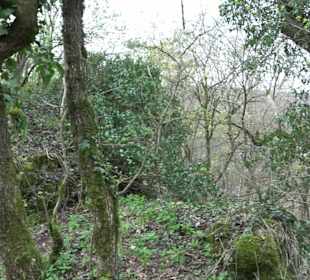 Wanderung rund um das Rusenschloss Gerhausen