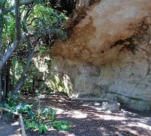 Rundgang durch den Botanischen Garten Cagliari