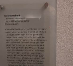 Naturkundemuseum
