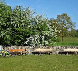 Eindrücke aus dem Wietzepark