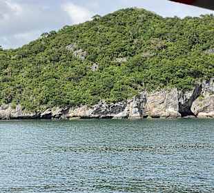 Schöne Landschaften