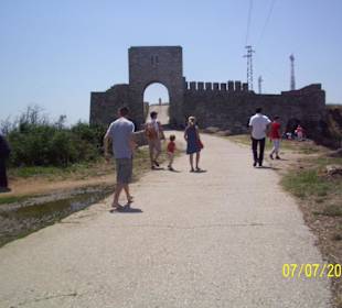 Ausflug zu den Delfinen