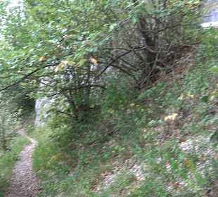 Tour entlang der Traifelbergfelsen