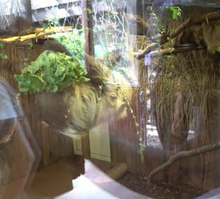 Zoo Heidelberg