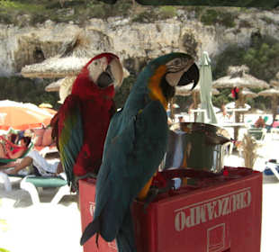 Cala Llombads