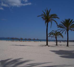 Strand Alcudia