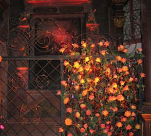 Die Markuskirche mit Rosen geschmückt