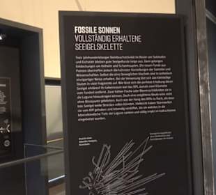 Dinosaurier Museum Altmühltal