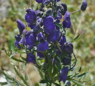 Schöne Wanderungen bei Oberstdorf