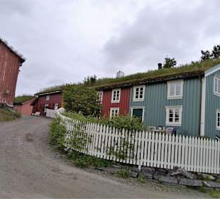 Begrünte Hausdächer in Mo I Rana