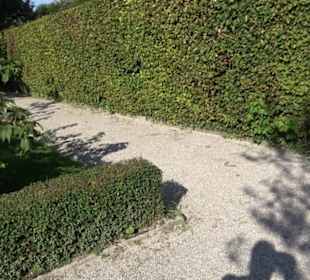 Botanischer Garten München