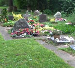 Friedhof Derendingen