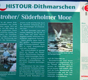 Das Moor gehört zur HISTOUR-Dithmarschen !