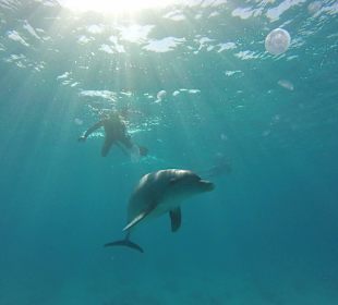 GoPro 3 Basic 119 Euro