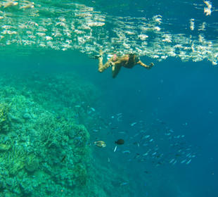 Tauchen Marsa Alam