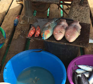 Fischereihafen Santa Maria