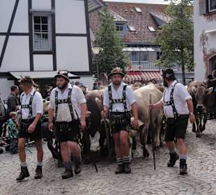 Viehscheid 2015