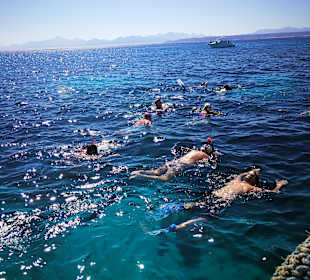 Lagunenfahrt durch El Gouna