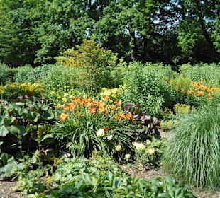 Park Schloss Moyland