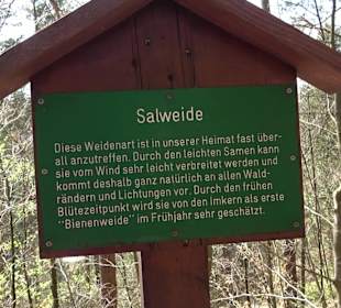 Baumlehrpfad Sontheim