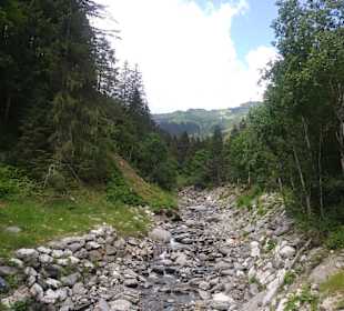 Wandern Donnersbachwald