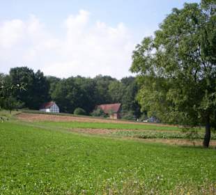Felder und Wiesen