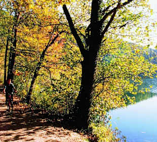 Ufer des Montiggler Sees