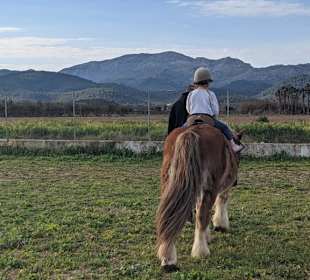 Land einwerts auf dem Pferd 