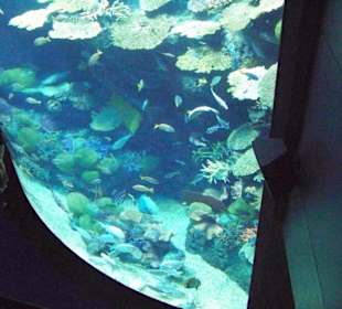 Aquarium