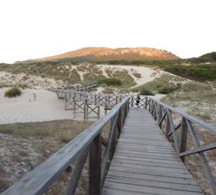 Holzsteg über die Dünen